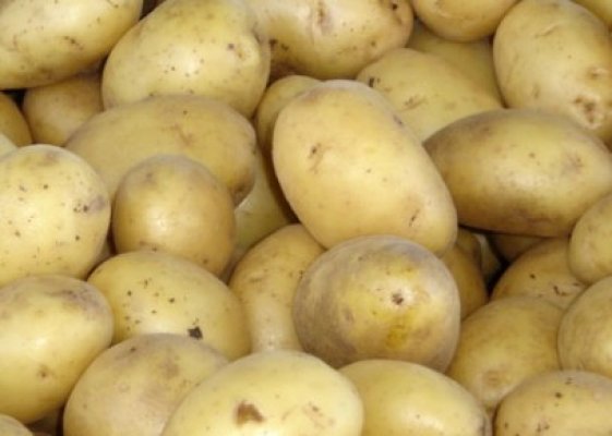 Cartofii s-au ieftinit în iunie